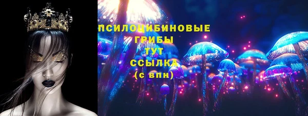 СК Арсеньев
