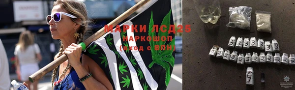 эйфоретик Аркадак