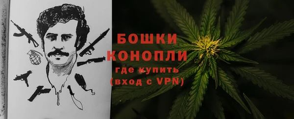 эйфоретик Аркадак
