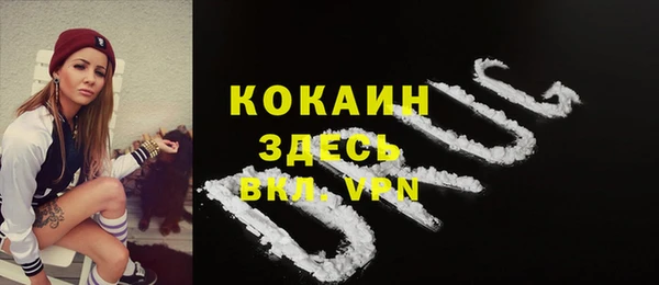 эйфоретик Аркадак