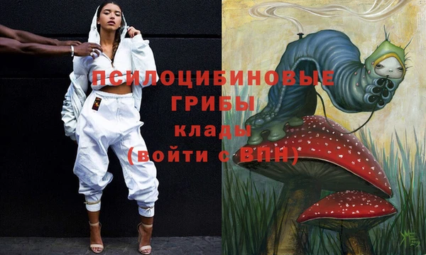 эйфоретик Аркадак
