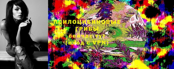 СК Арсеньев