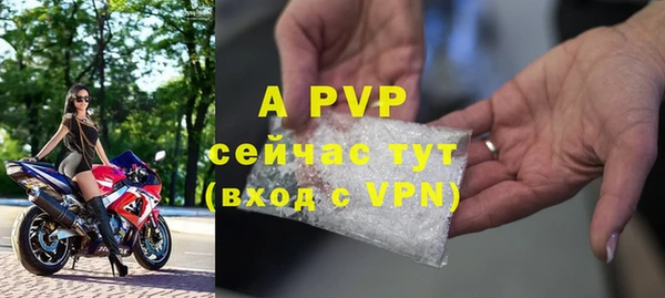 СК Арсеньев