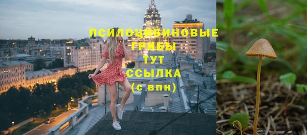 эйфоретик Аркадак