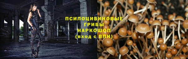 бошки Армянск